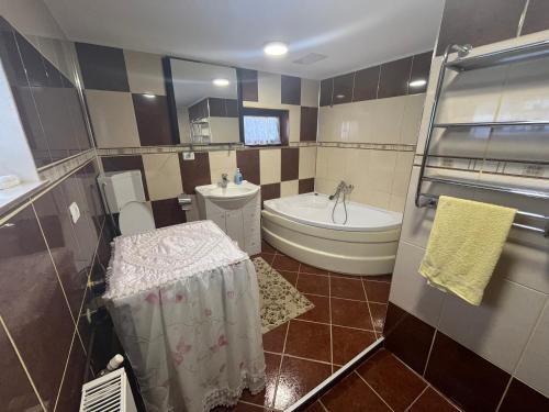 凡达提卡Pensiunea Valea Dorului的带浴缸、卫生间和盥洗盆的浴室