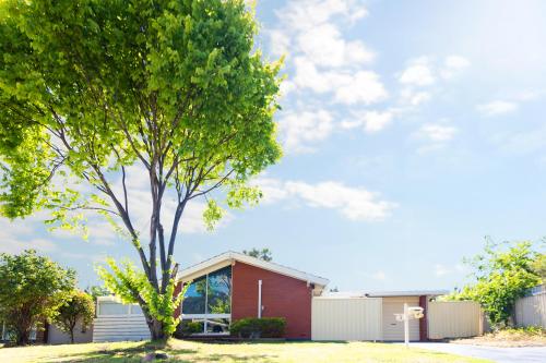 CampbelltownModern Cozy Retreat-3Bedroom, Full Kitchen, Coffee Machine, Cot, Pets allowed-Fully Fenced,FreeWifi, Netflix, 2TV的红楼前的树