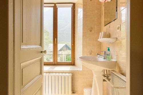 夏蒙尼-勃朗峰Maison Emile Devouassoud的一间带水槽和窗户的浴室