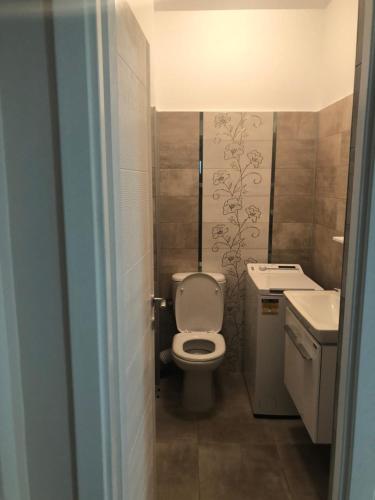 克拉约瓦Apartament cu 3 camere Rovine的一间带卫生间和水槽的小浴室