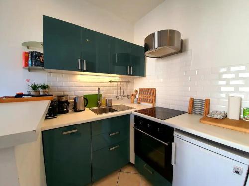 昂蒂布Freshly tastefully renovated apartments in heart of old Antibes的厨房配有绿色橱柜和水槽