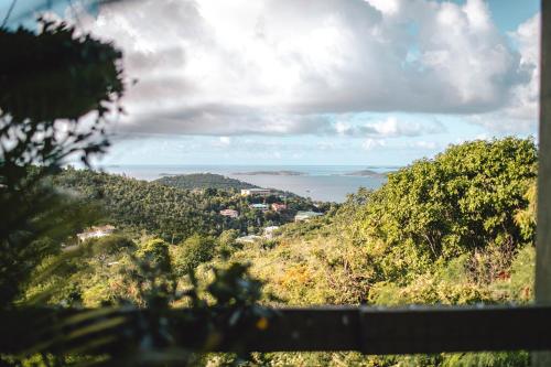 Cruz Bay Tropical Condo