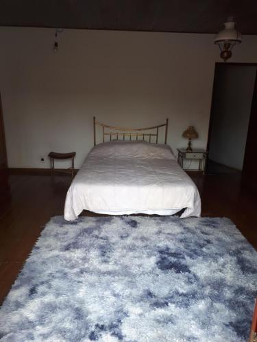 容迪亚伊Terapias integrativas do Sandrin的一间卧室配有一张床和蓝色地毯