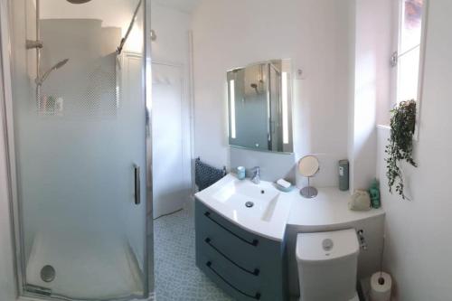 滨海维莱T2 Hypercentre à 200 m de la plage的一间带水槽、卫生间和镜子的浴室