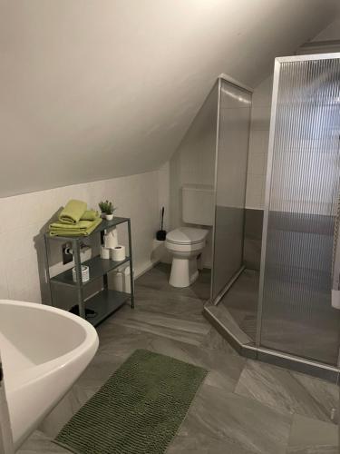 Gyöngyszem Apartman的带淋浴、卫生间和盥洗盆的浴室