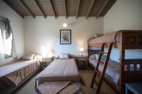 佩里托莫雷诺La Posta de los Toldos的客房设有两张双层床和两盏灯。