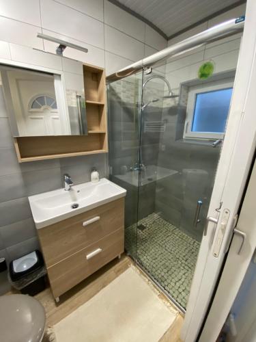 LabardeLe cosy的带淋浴和盥洗盆的浴室
