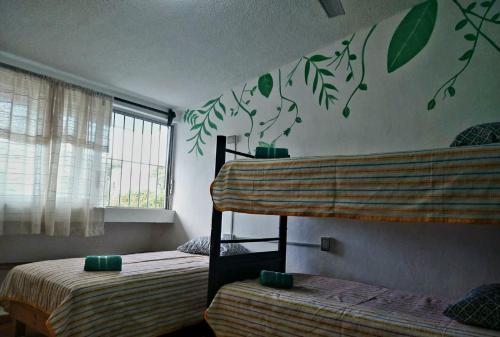 坎昆Xungla Cancún的卧室配有两张双层床,墙上挂着绿叶