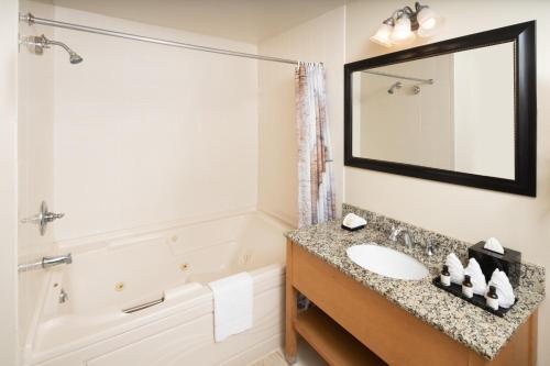 日内瓦湖廷伯里奇别墅与水上乐园酒店的一间带水槽、浴缸和镜子的浴室