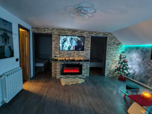BorsaAlissa House的客厅设有壁炉,配有圣诞树