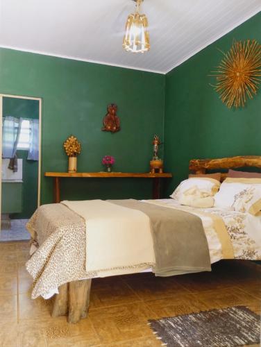 Natividade da SerraHostel Rural Família Mulareks的一间卧室配有一张带绿色墙壁的床