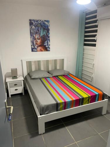 萨莱比梅Le Cocon Des Îles的一间卧室配有一张带彩色条纹毯子的床