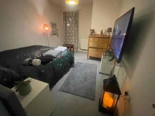 沃尔瑟姆阿比Rhapsody Premium的一间卧室配有一张床和一台平面电视