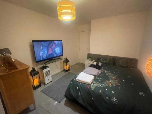 沃尔瑟姆阿比Rhapsody Premium的一间卧室配有一张床和一台平面电视