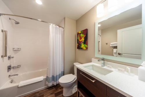 弗兰特罗亚尔TownePlace Suites by Marriott Front Royal的浴室配有盥洗池、卫生间和镜子。