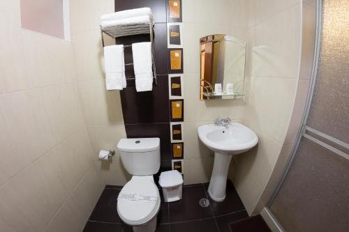 普诺UTASA VILLAREAL Inn的一间带卫生间和水槽的小浴室