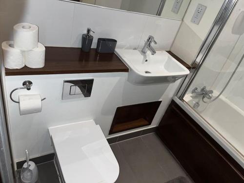 HooApartment in Central Gillingham的一间带水槽和卫生间的小浴室