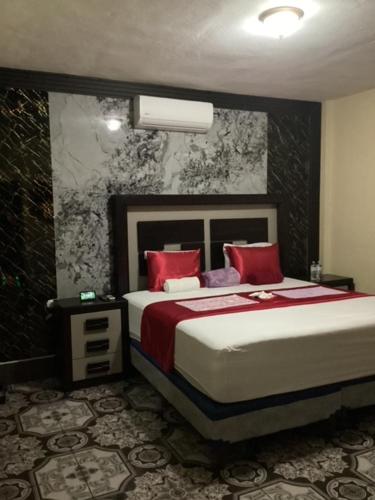 San BenitoCasa Victoria的一间卧室配有一张带红色枕头的大床