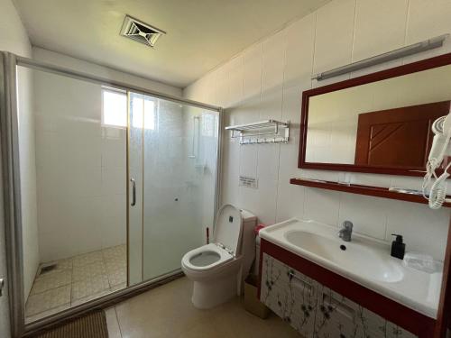 努库阿洛法Meida Hotel的带淋浴、卫生间和盥洗盆的浴室