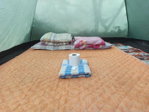 拜县排森林度假村 的帐篷配有两张床和卫生间