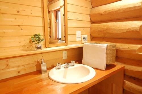 NumajiriShakunagedaira Rental Cottage - Vacation STAY 18468v的小木屋内带水槽的浴室