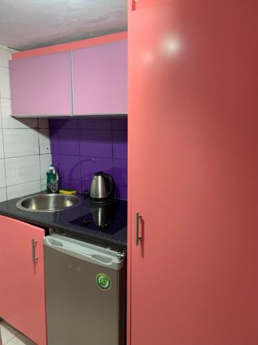 雅典Alexander Luxury House的带水槽的厨房内的红色冰箱