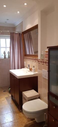 居特斯洛Tina`s home的一间带水槽、卫生间和镜子的浴室