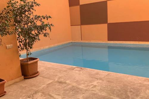 马拉喀什Appartement neuf climatisé, centre Marrakech.的游泳池旁边种有盆栽植物