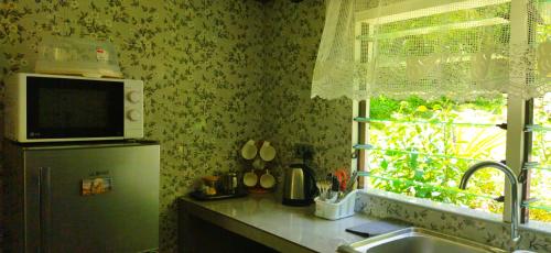 拉迪格岛Dan Zoranz Self Catering Guest House的厨房设有水槽和窗户。