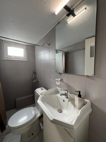 拉里萨TopCentral Apartment的白色的浴室设有水槽和卫生间。