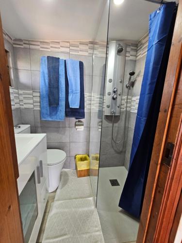 科蒂略La Maxada Luz Maria的带淋浴和蓝色毛巾的浴室