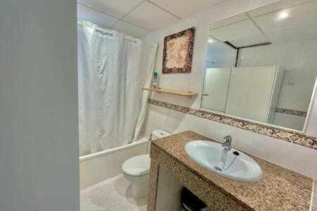 休达德亚BoschApartamento de 2 dormitorios y con piscina的一间带水槽、卫生间和镜子的浴室