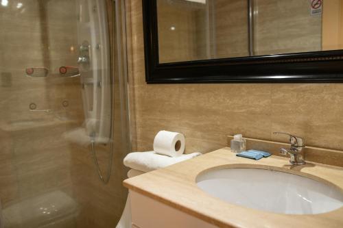 瓦尔迪维亚Hotel Di Torlaschi的一间带水槽和淋浴的浴室