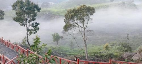 希维德Gunung bangku ciwidey rancabali camp的享有绿树成荫的山谷和红色栏杆的景色