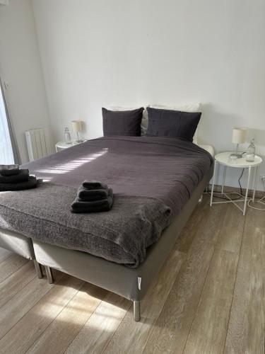 杜瓦讷内Appartement Design VIII - Port Rosmeur - Sublime vue Mer的一间卧室配有一张大床和两张桌子