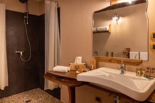 奥斯塔Chalet d'Aoste的一间带水槽、淋浴和镜子的浴室