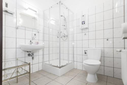 米利奇W Starym Młynie的带淋浴、卫生间和盥洗盆的浴室