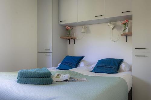 宁斯佩特Lodge Steltloper Nunspeet Veluwe的一间卧室配有两张带蓝色枕头的床