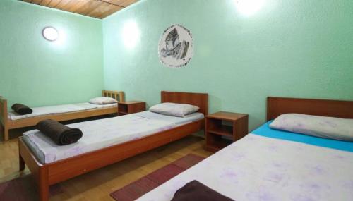 萨拉热窝Pansion Sebilj的一间客房内配有两张床的房间