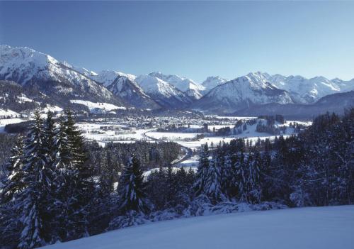 奥伯斯特多夫Ferienhotel Sonnenheim的享有雪覆盖的山脉和城镇的景色