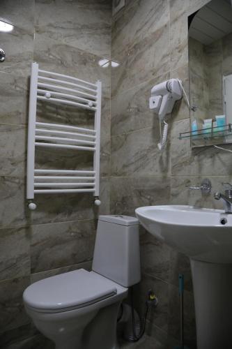梅斯蒂亚Hotel Ramaz Paliani的一间带卫生间和水槽的浴室