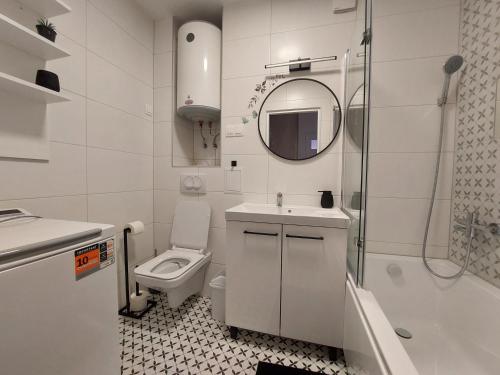 莱斯科Odpocznij w Lesku的一间带卫生间、水槽和镜子的浴室