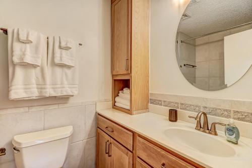 阿米莉亚岛3325 Fairway Oaks的一间带卫生间、水槽和镜子的浴室