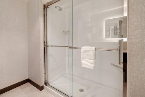 奥兰帕克Hampton Inn Chicago Orland Park的带淋浴的浴室和玻璃门