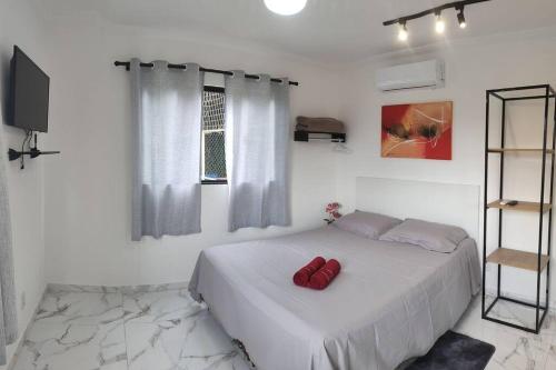佩尼多Casa Nova no Centro de Penedo的一间卧室配有一张带红色枕头的床