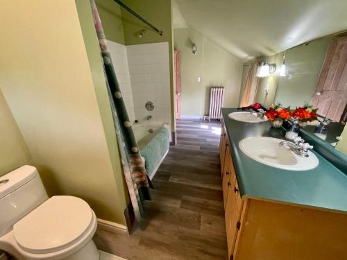 尼亚加拉瀑布ROOM D IN THE WHITE HOUSE的浴室配有卫生间、盥洗盆和浴缸。