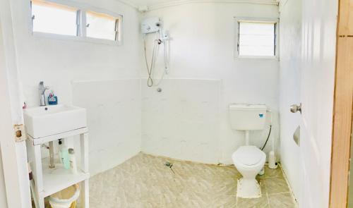 FolahaTonga Cottage - Triple Room with Shared Facilities的白色的浴室设有卫生间和水槽。