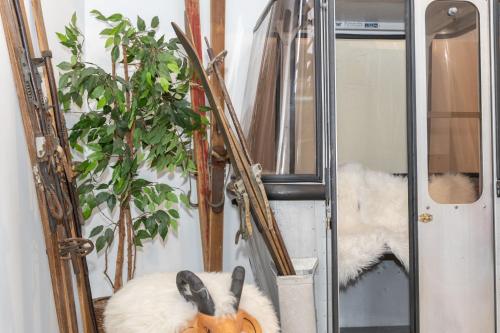 扎科帕内Pensjonat Janosik的一间设有镜子、南瓜和植物的房间