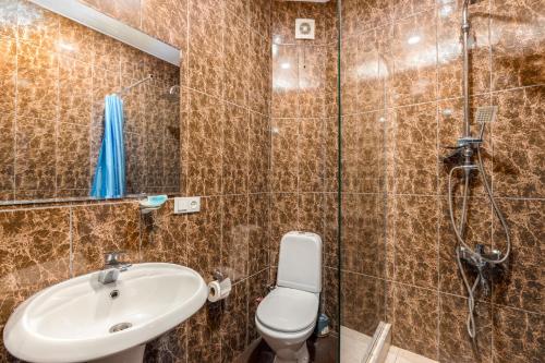 第比利斯Sunny Hotel Tbilisi的一间带水槽、卫生间和淋浴的浴室