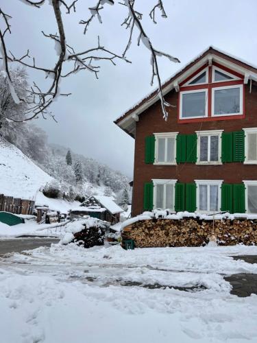 冬天的Old Farmhouse Loft near Vaduz